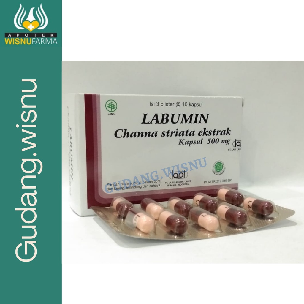 LABUMIN 10 KAPSUL EKSTRAK IKAN GABUS