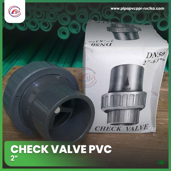 Check Valve PVC 2" / Check Valve PVC 2 Inch / Check Valve 2" / Check Valve PVC