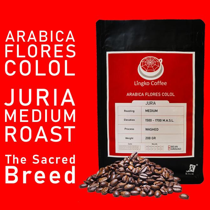 

TERLARIS KOPI ARABIKA ARABICA JURIA FLORES MANGGARAI COLOL MEDIUM 200GR BIJI /KOPI RUBE/KOPI KAPAL API/KOPI SLB/KOPI PEJUANG/KOPI BUBUK