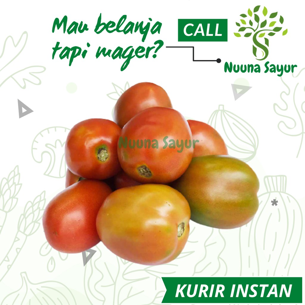 

SAYUR TOMAT BUAH SEGAR FRESH SAYUR BUAH SEGAR SERANG