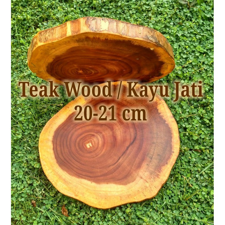 Teak wood slice potongan  log kayu  jati  diameter 20 21 cm 