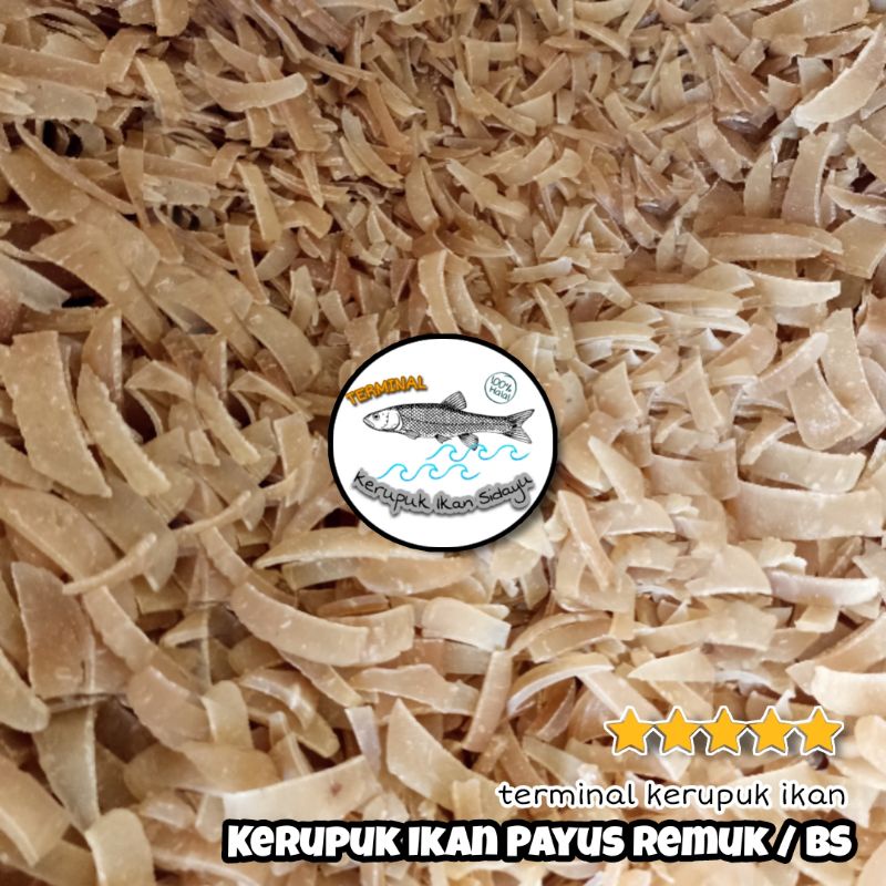 KERUPUK IKAN Payus Remukan | BS an Mentah Khas Sidayu