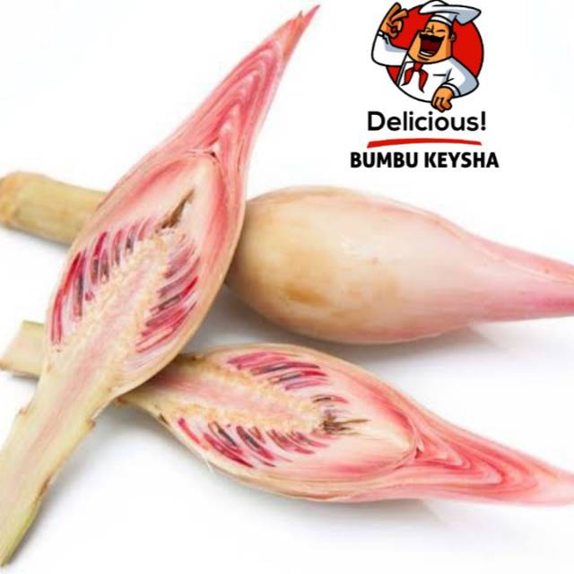 

Kecombrang Segar / kencong/ Honje