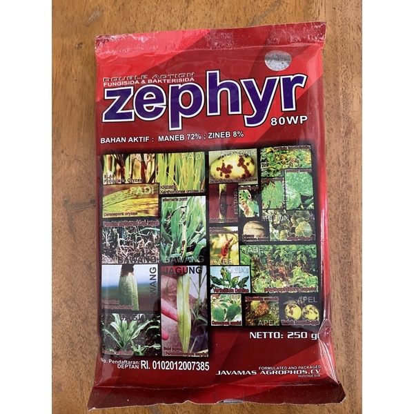Zephyr 80wp Fungisida