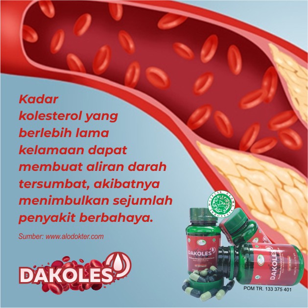 DAKOLES Herbal Menurunkan Kolesterol Melancarkan Sirkulasi Darah - Naturafit BPOM