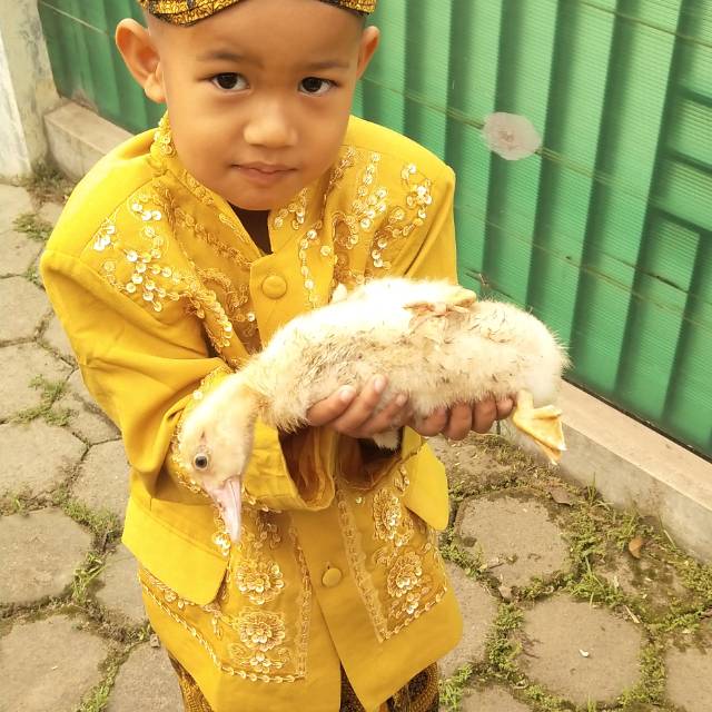 asad.pradipta