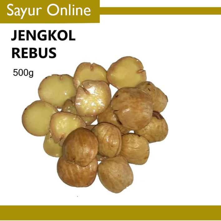

JENGKOL REBUS - FRESH [500g]