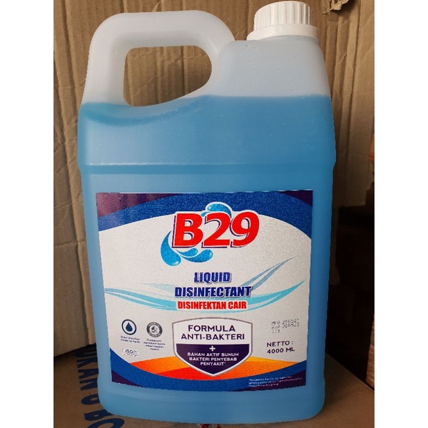 B29 disinfektan cair
