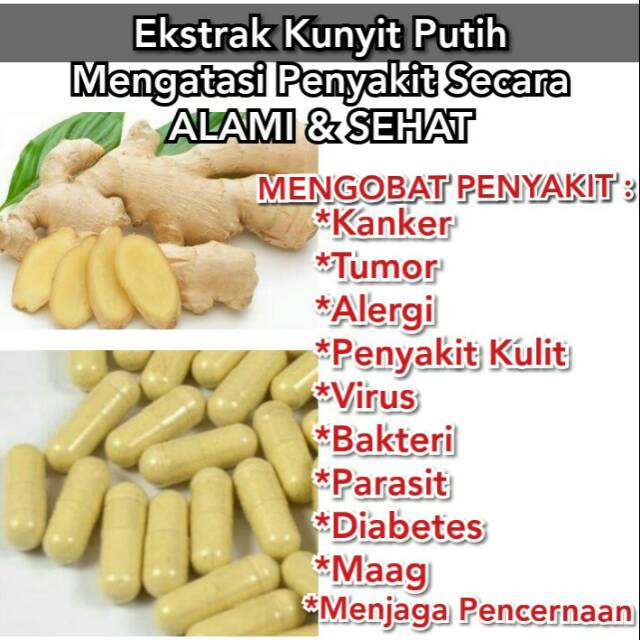 

Ekstrak Kunyit Putih 100% Asli Madura