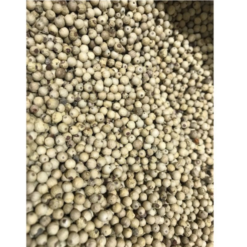 Merica Putih (250 gram) / Lada Putih / White Pepper / Sahang / Hu jiao (胡椒)