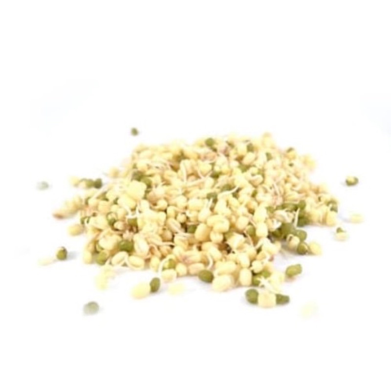 

Toge Rawon 200gram