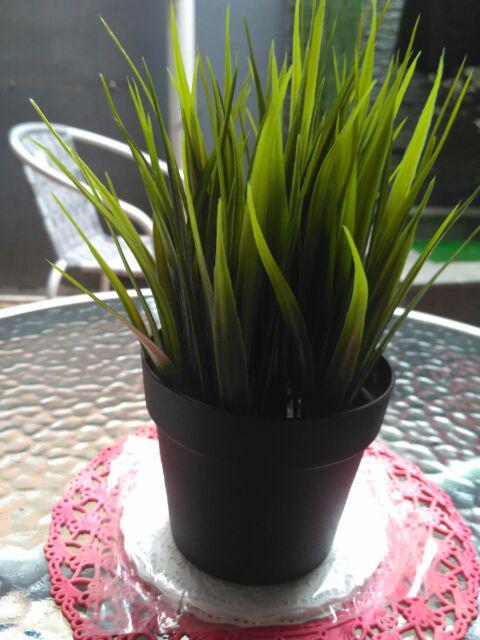 Fejka Tanaman Rumput Tiruan Dalam Pot