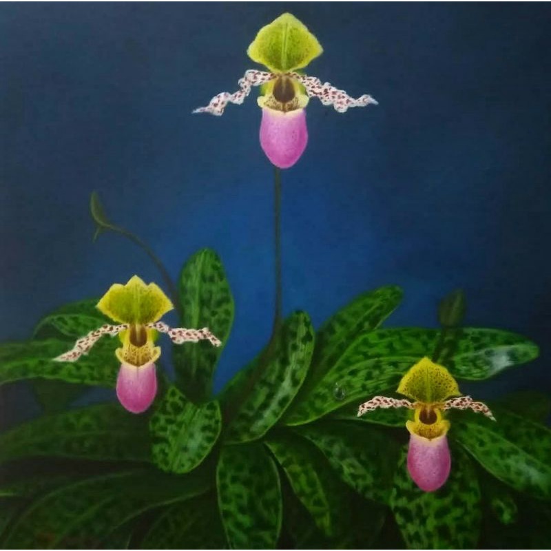 Lukisan Bunga Anggrek Bersertifikat Asli