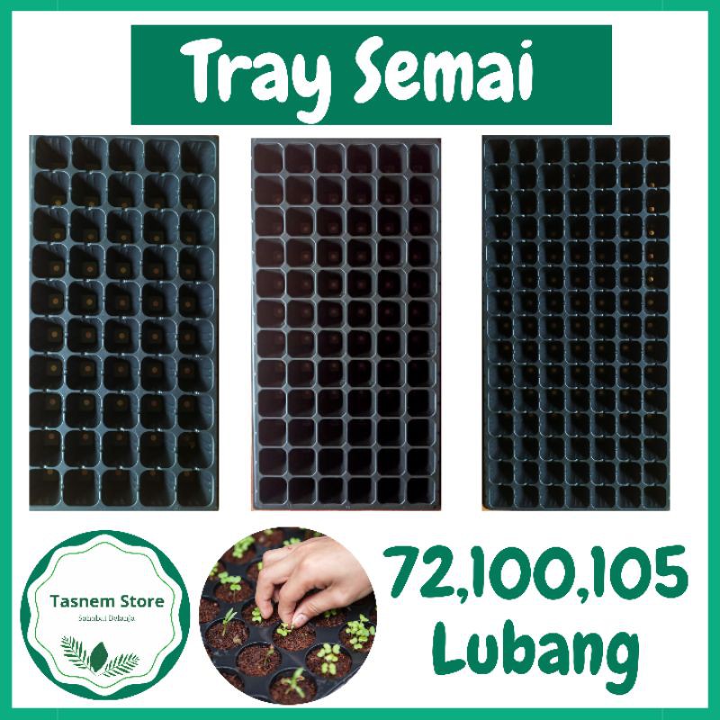 Pot Papan Wadah Trai Tray Semai Benih Bibit Biji 72 100 105 Lubang Seeding Tray Plastik Hidroponik