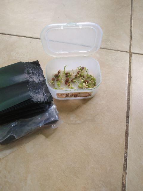 [100 Pcs] Polybag Ukuran 10 Cm X 10 Cm