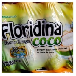 

FLORIDINA COCONUT/ ISI 12