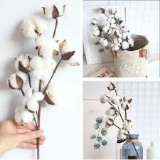 Cotton Flower Bunga Kapas Unik Asli Single Stem Dekorasi Hiasan Bunga Artificial per tangkai