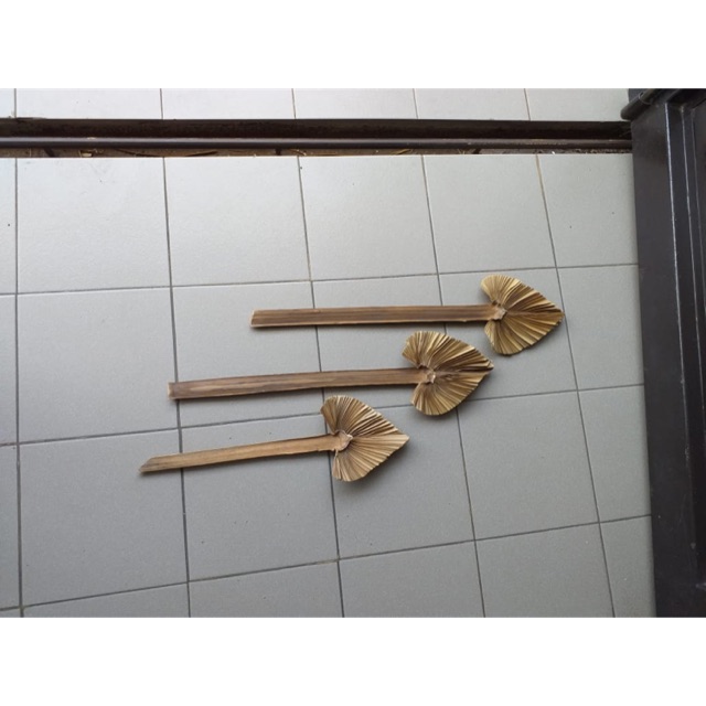 Daun kering dekorasi kipas