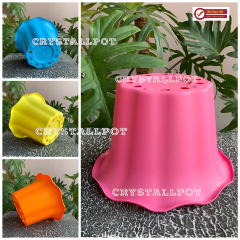 Pot bunga tanaman warna warni nkt sakura 20cm model mawar - nkt sakura