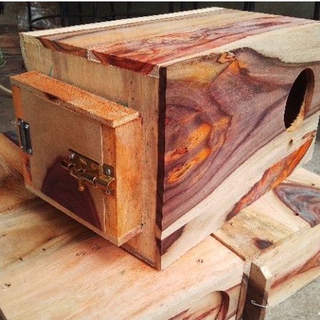 Glodok Pantau Jalak // Glodok Kaca Jalak // Glodok Jalak Sono Keling