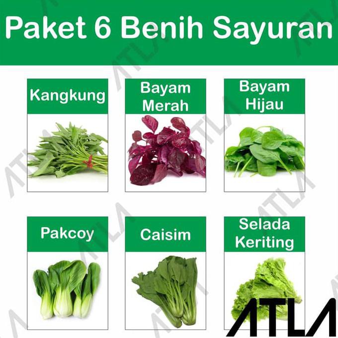 5 Jenis Sayur Hidroponik Yang Mudah Ditanam Berkeluarga Riset