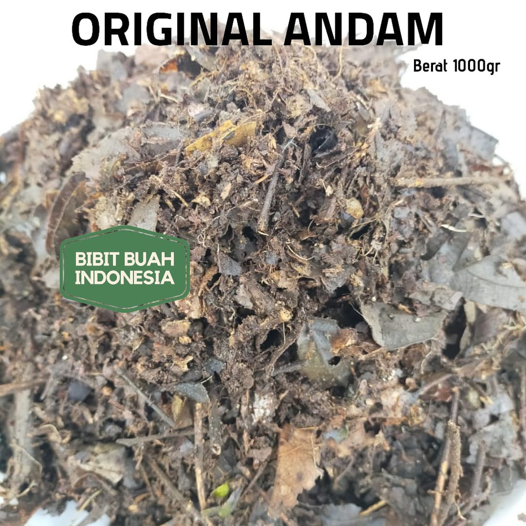 

Andam Hutan Murni Penyubur Monstera, Philo dll (kemasan 500gr)
