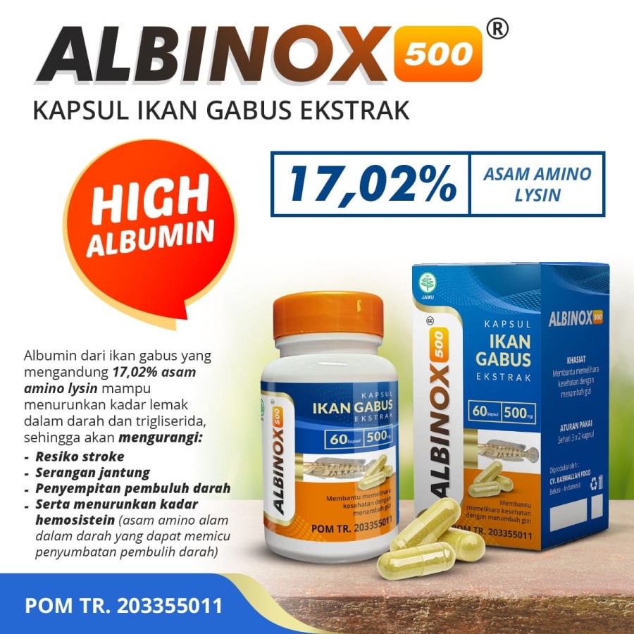 MINYAK IKAN GABUS KAPSUL EKSTRAK IKAN GABUS KUTUK SUPLEMEN ALBUMIN ALBINOX BPOM ASLI