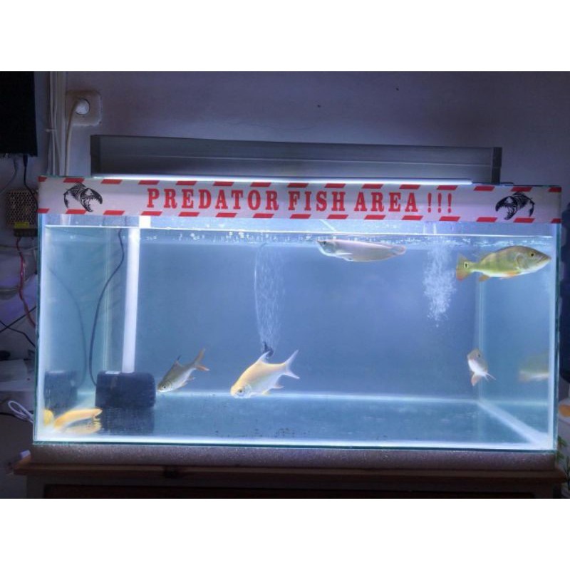 stiker aquarium awas ikan galak lucu unik stiker depan kaca waterfroof