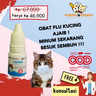 IHE1) CATYFLU KUCING OBAT FLU KUCING MAKANAN KUCING OBAT KUCING -
kucing hamil keluar lendir