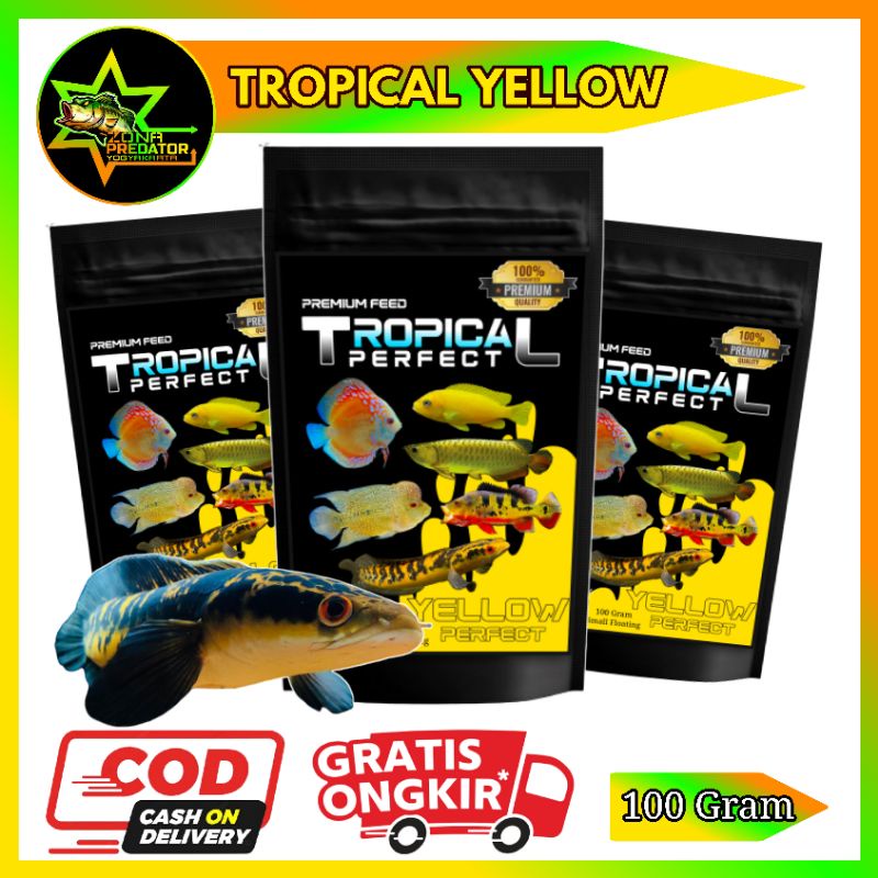 Pelet Tropical Perfect Yellow Pelet Channa Maru