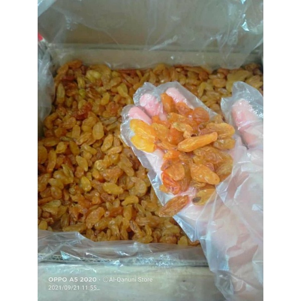 

kismis langsung di import dari petani Arab Saudi