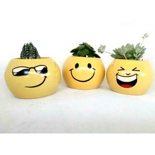  Pot  Mini Kaktus  Emoticon Shopee  Indonesia