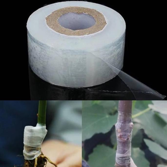 

Grafting Tape - Plastik Okulasi, Sambung Pucuk / Enten - 3 cm onlinteitem66 Ayo Order