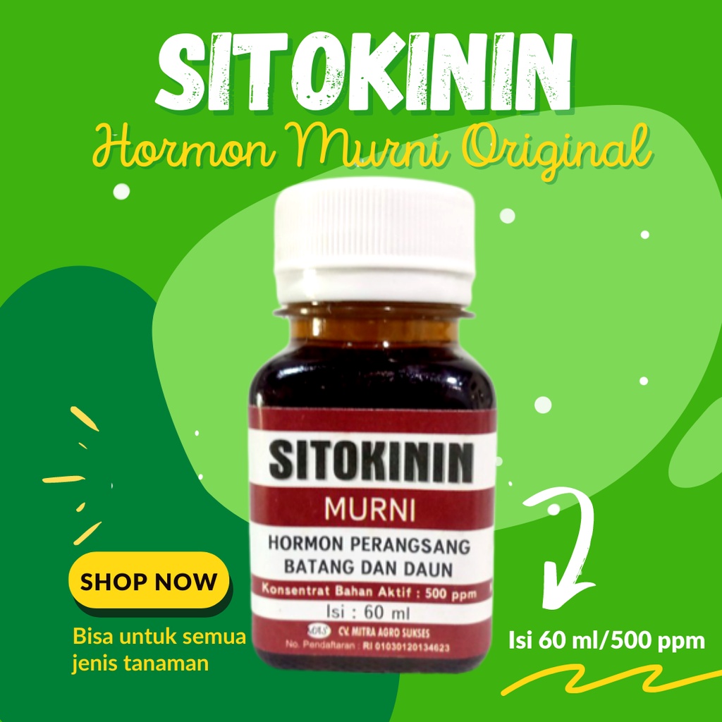 Sitokinin Murni 60ml Hormon Sitokinin Original Hormon Perangzang Batang dan daun Anti Layu Zpt Sitok
