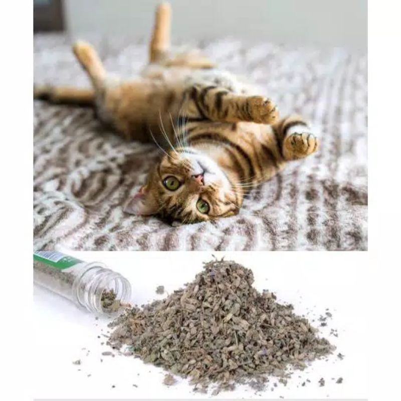 CATNIP STRESS RELIEF FOR CAT 40ml herbal alami penghilang stress dan menggembirakan kucing