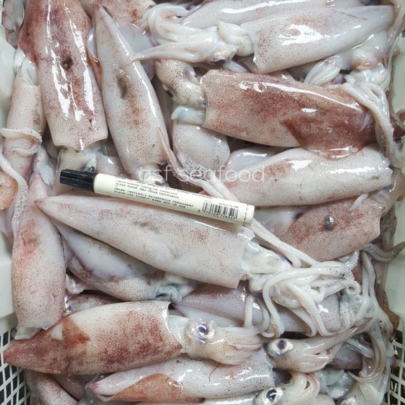 

Cumi Sedang 500gr