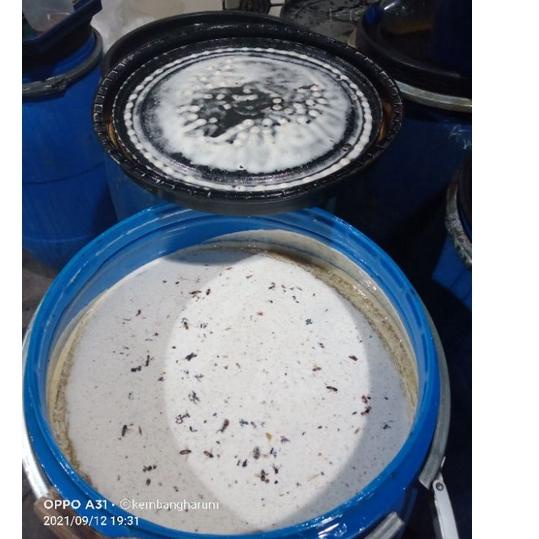 

kp❇Best➴ MADU MURNI MULTIFLORA SUPER 1KG KEMBANG HARUM 100% RAW HONEY 1KG GRED A ISTANA MADU MURNi 92 ❇