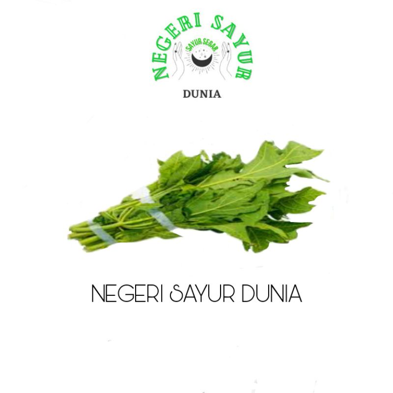 

NEGERI SAYUR DUNIA (Daun pepaya muda)1 ikat