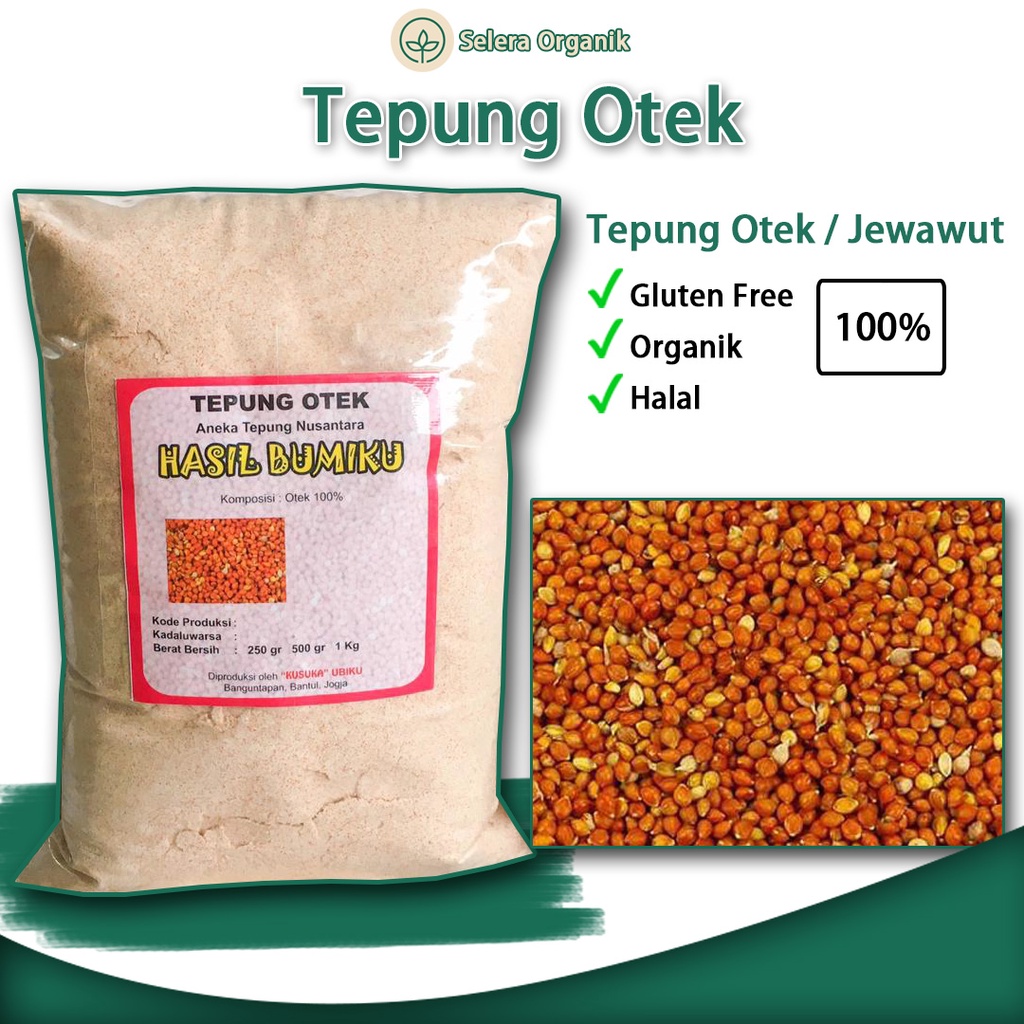 

Tepung Otek / Jawawut / Jewawut (1kg) Organik Bebas Gluten Free | Selera Organik Jogja