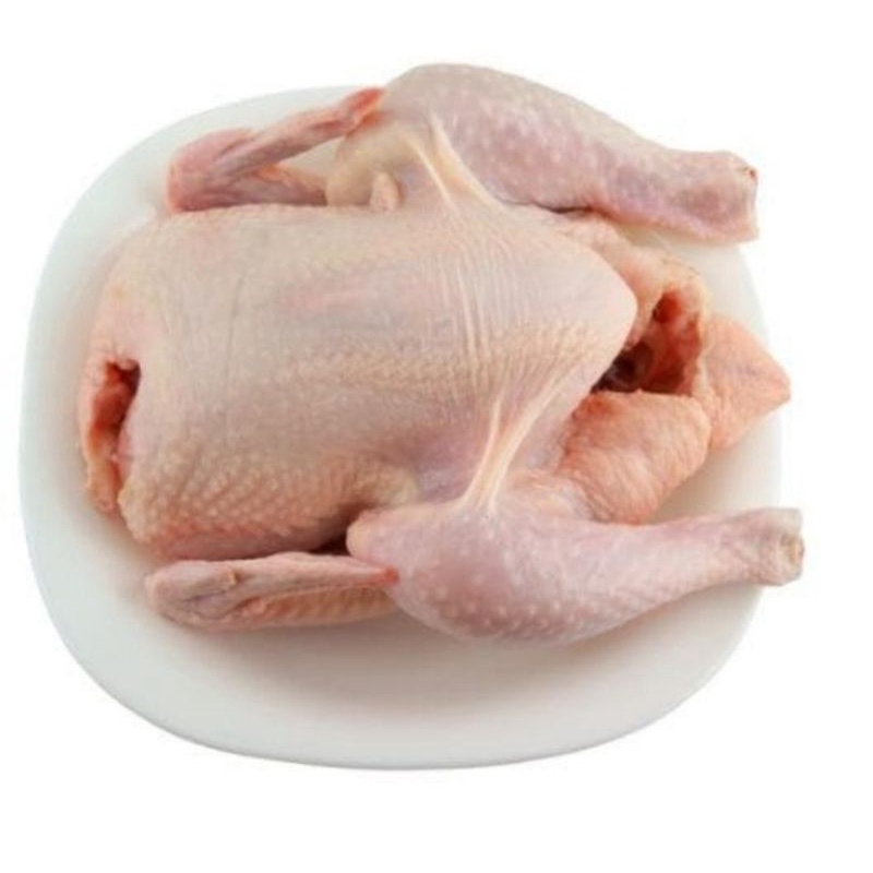 

ayam karkas boiler utuh 0,9kg