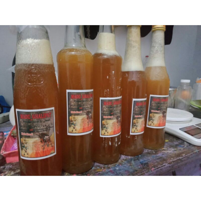 

Madu Hutan Murni Original