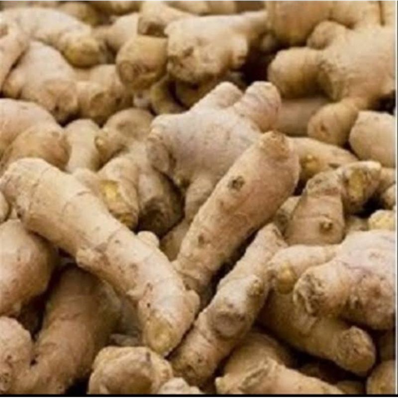

Jahe Emprit 1 kg