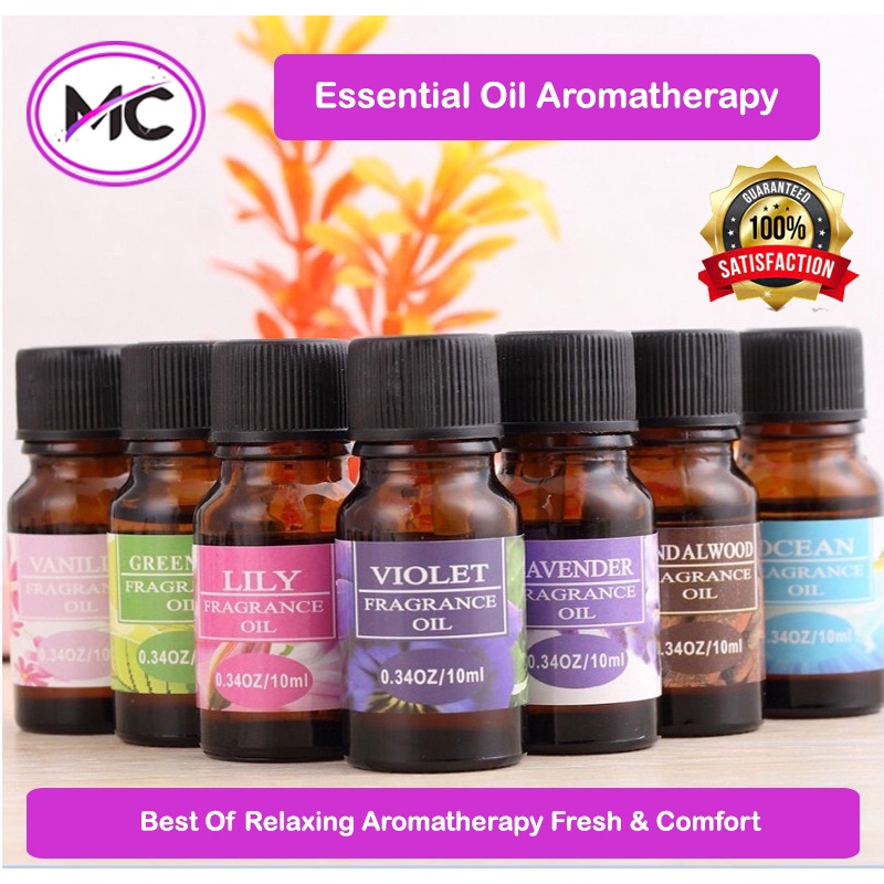 Essential Oil Diffuser Aromatherapy Humidifier Esential Aroma Terapi Fragance Essence Pengharum Ruangan Pewangi Ruang