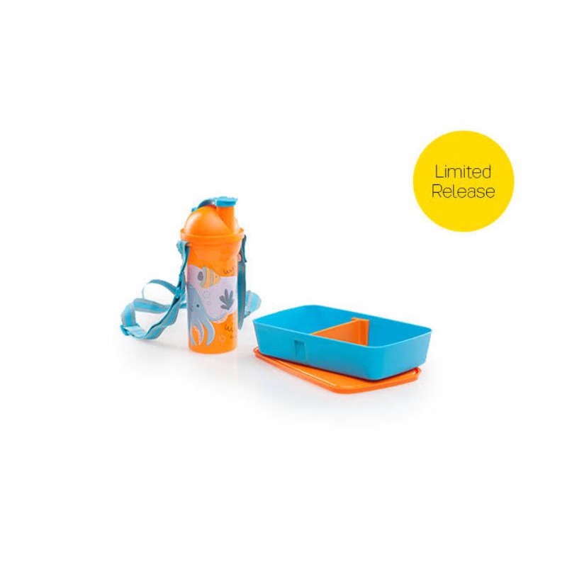 kids lunch set tupperware