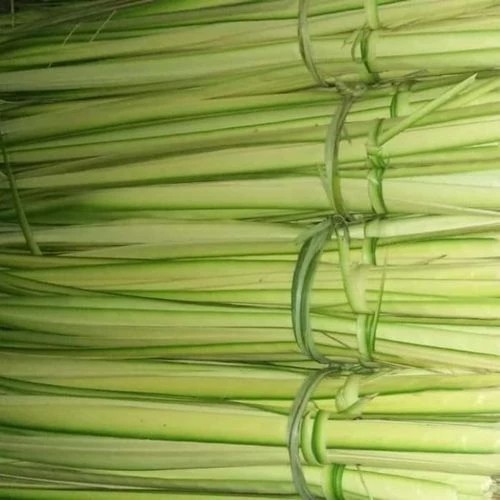 

Kulit Ketupat Atau Kulit Janur Harga perbiji