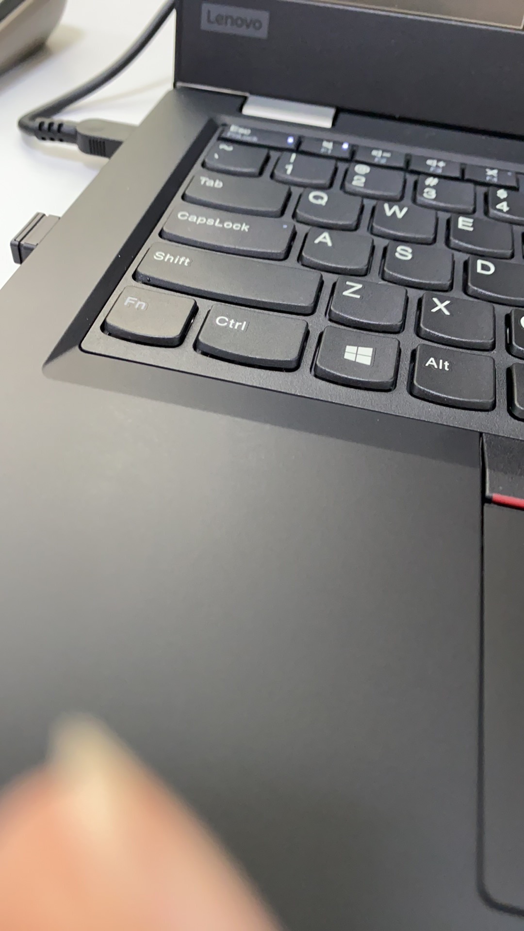 Damonte Golden Cutleries Set | Set Peralatan Makan