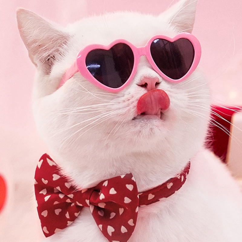 Kacamata Hitam Anjing / Kucing Peliharaan Untuk Foto