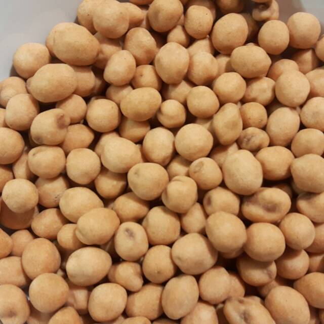 

Kacang atom satelit palapa 1 dus