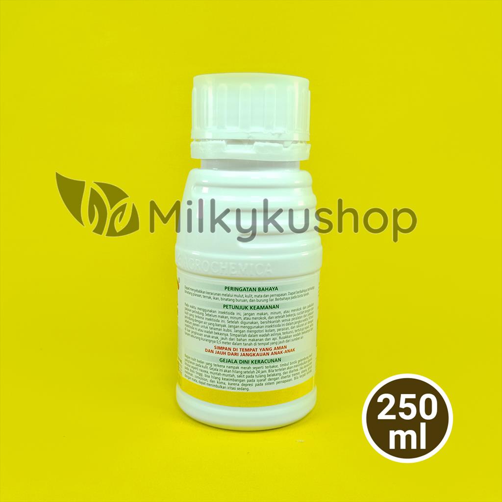 RUMBA 500EC 250 ML INSEKTISIDA HAMA KUTU