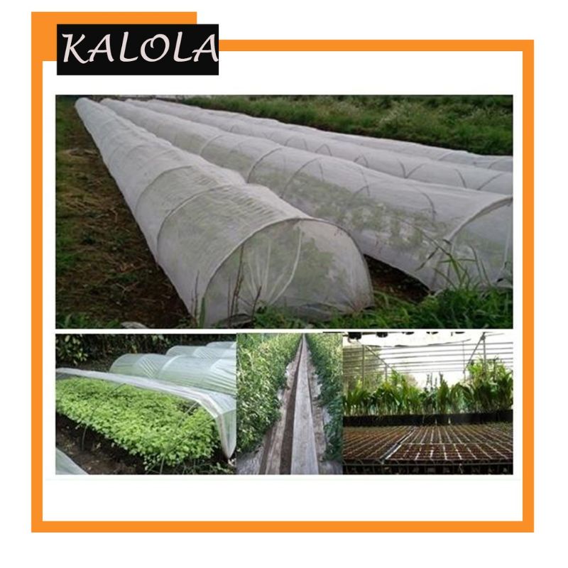 Plastik sungkup PE 0.10 L:100cm P:25meter Serbaguna